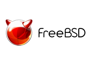 FreeBSD 9.1 в KVM